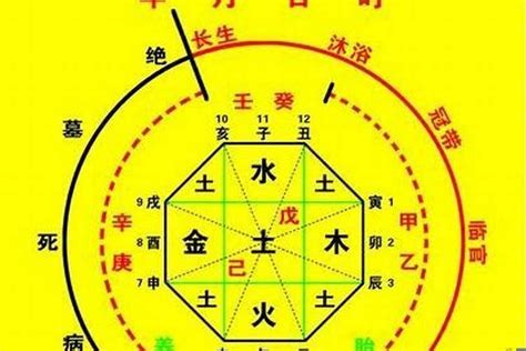 喜用神怎麼看|【八字喜用神怎麼看】八字新手必看！掌握「八字喜用神」輕鬆提。